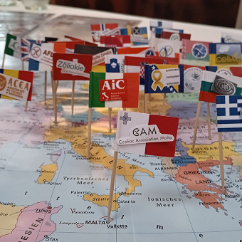 Globale Zöli-Gesellschaften