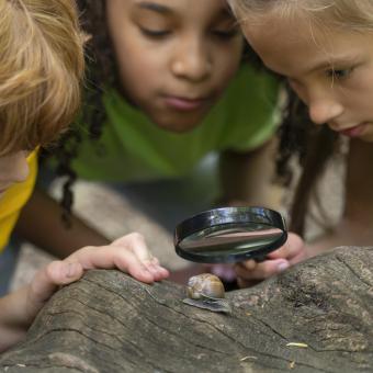 Natur und in der Wildnis