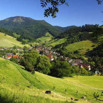 Weiche grüne Hügel rund um das Örtchen Staufen im Breisgau