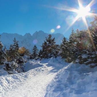 Winterwonderland