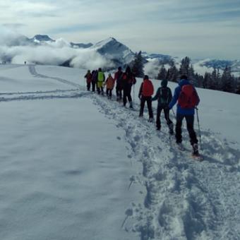 Schneeschuhwanderung im Allgäu