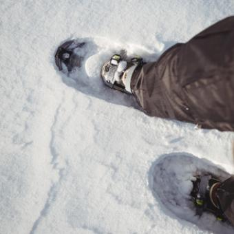 Schneeschuh
