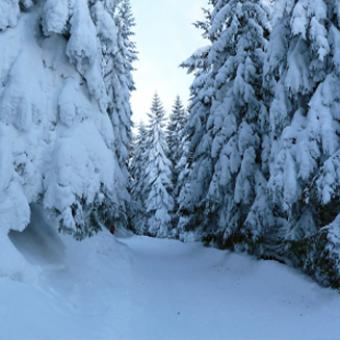 Verschneite Winterlandschaft