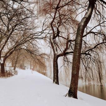 Winter am Aasee