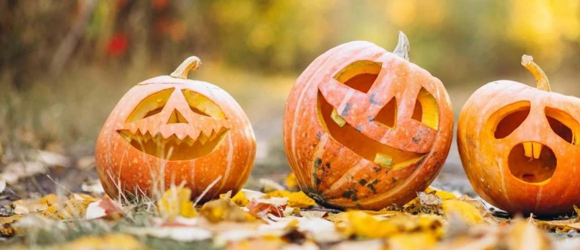 Halloween in Scheidegg 2022 Halloween in Scheidegg 2022