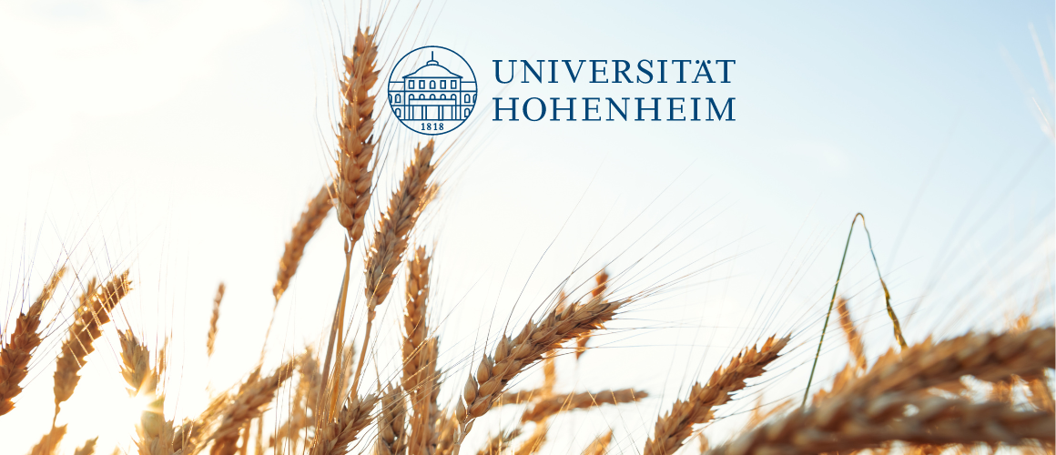 Weizenfeld mit Logo der Uni Hohenheim