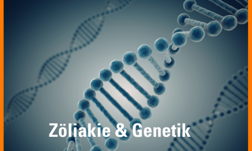 In der Mitte eine graue DNA-Doppelhelix, also eine spiralförmig verdrehte Struktur der Erbsubstanz. dahinter links und rechts noch 2 weiter. Der Hintergrund ist auch grau. Unten steht Zöliakie & Genetik
